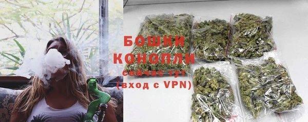 прущий лед Костерёво