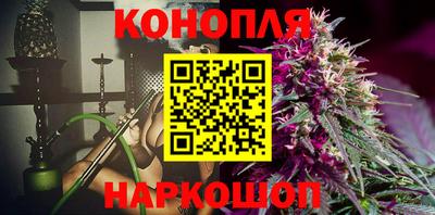 ALPHA PVP Гатчина